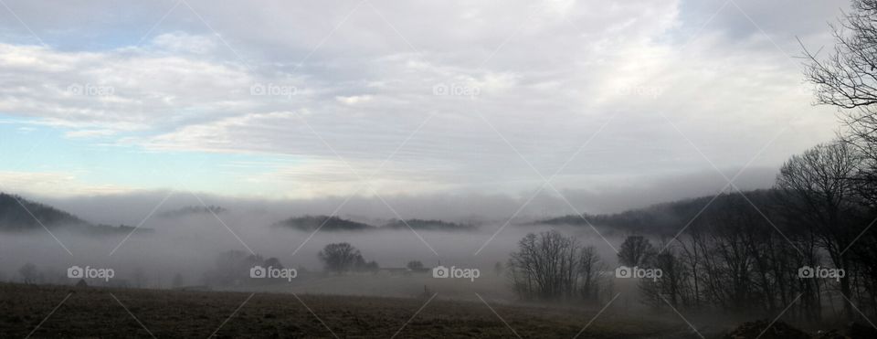 Country Fog