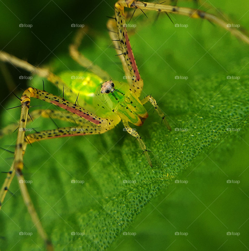 Wildlife photography Photos