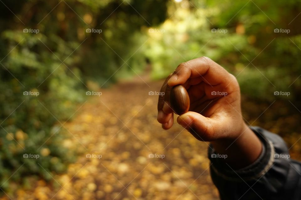 My son holding an acorn found in the woods 