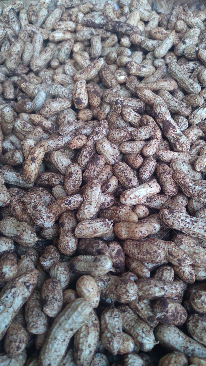 Peanuts being dried in the sun for cooking purposes