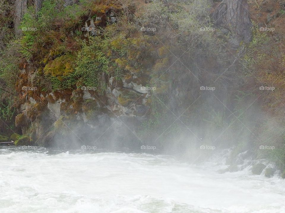 The roaring waters of the Deschutes River at Dillon Falls in the forest with spring runoff rushing through its rock canyon covered in hardened lava rock, moss, bushes, and ponderosa pine trees. 