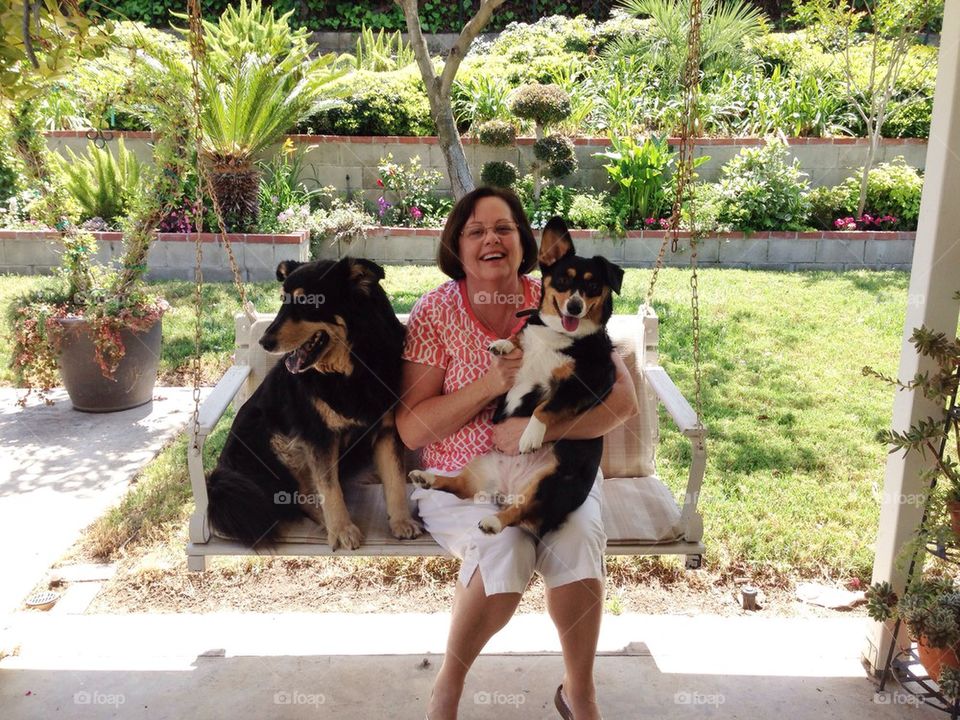 Grandma and the pups 