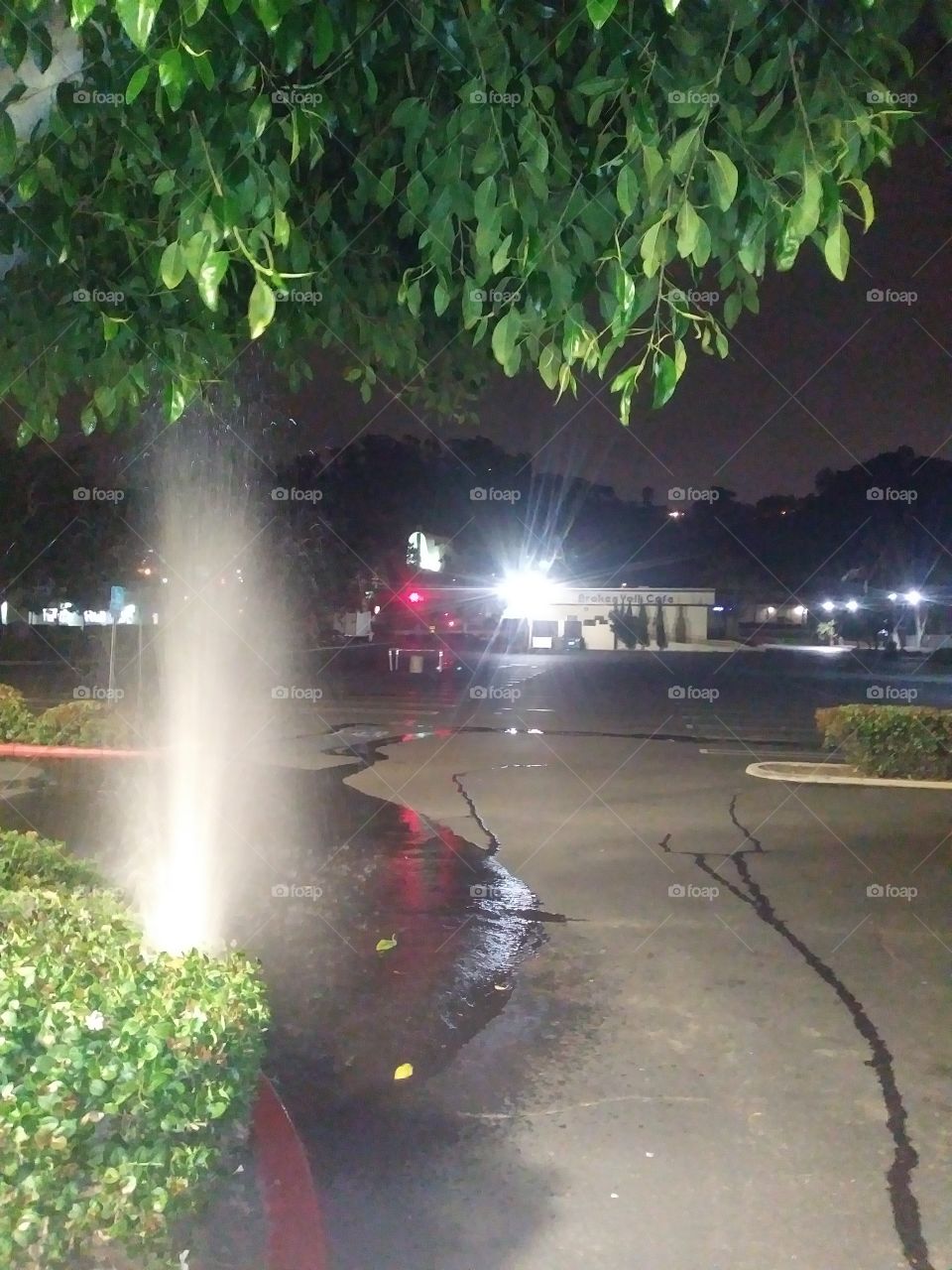 Apparently there is a water shortage in California so what kind of influence does a irrigation main line thats clearly busted have when its located in the middle of Mission Valley shopping mall? a very public place for a very public issue.