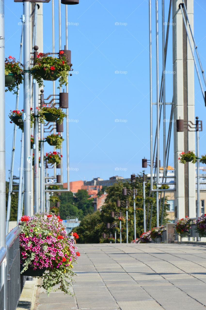 Bridge with flowers in Kaunas