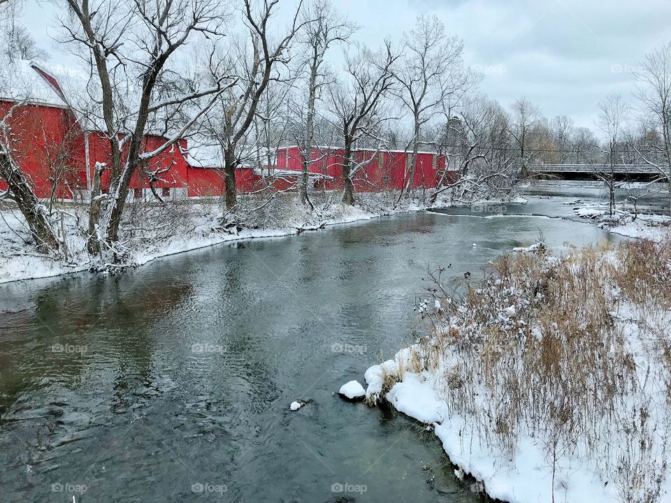 Ellicott creek in winter