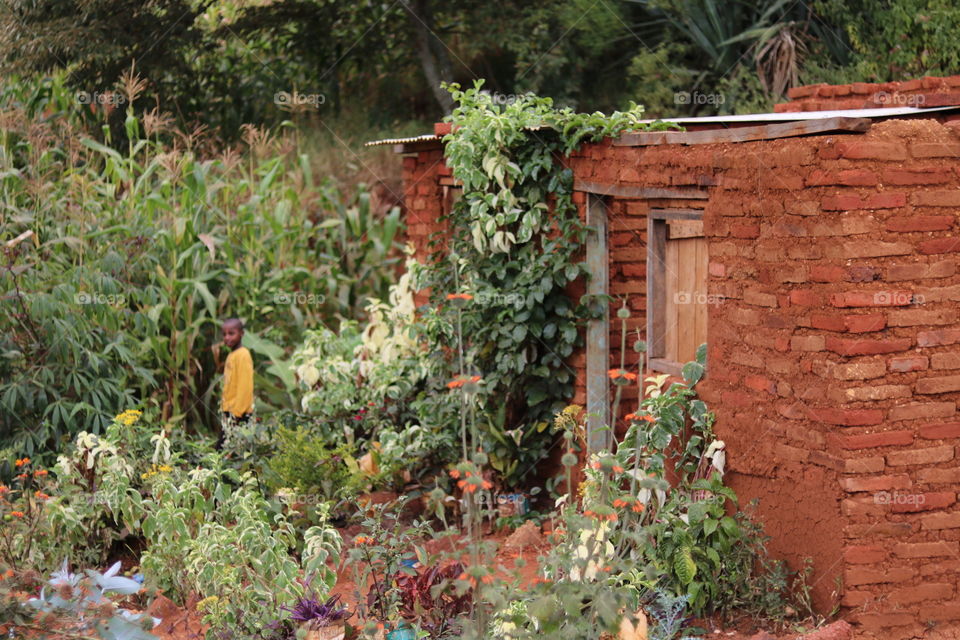 A small garden for spices with a small kind of house. It is the pure africa daily life.