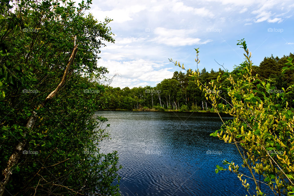 Waldsee