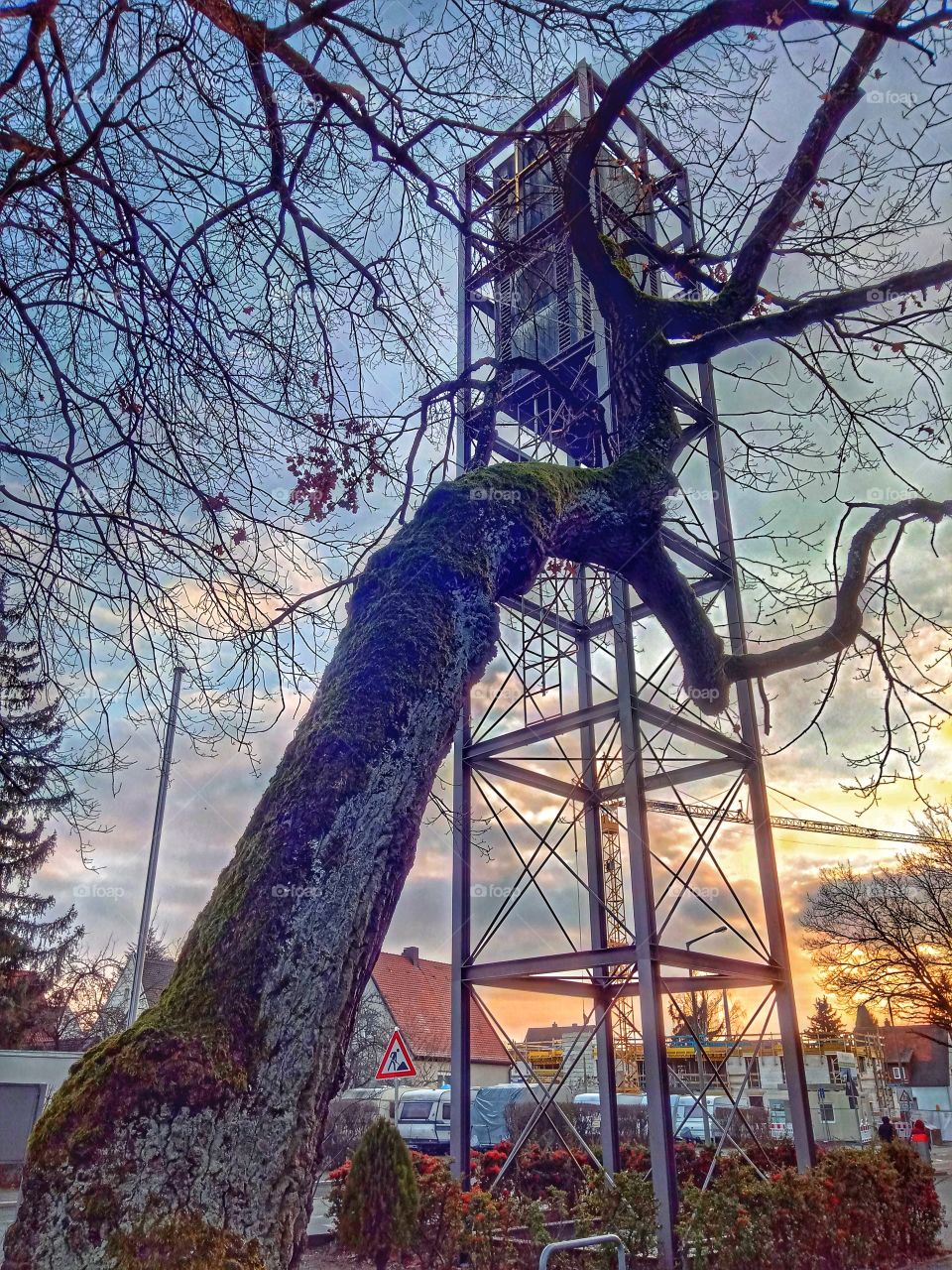 Church Bell and Tree