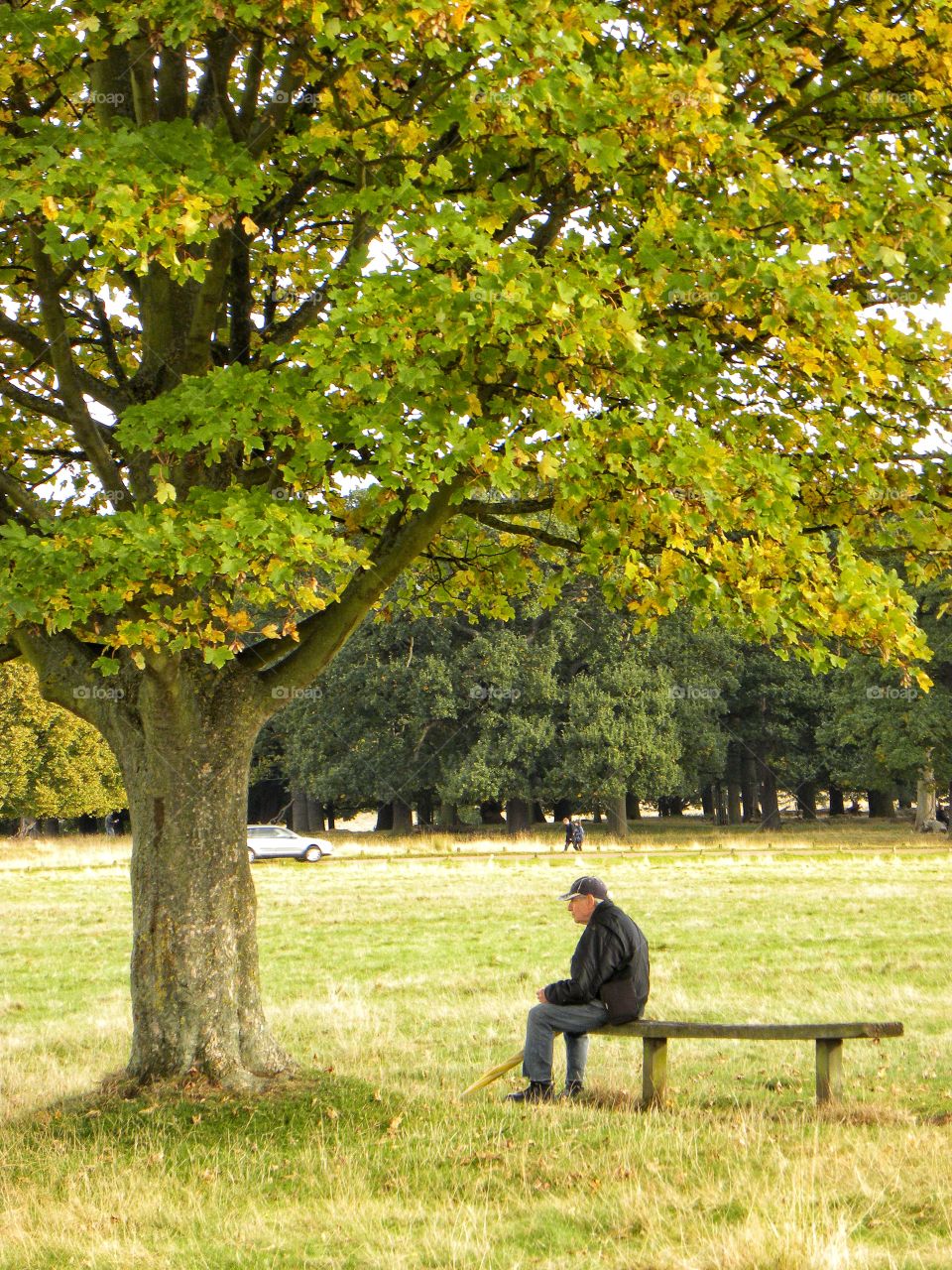 sitting