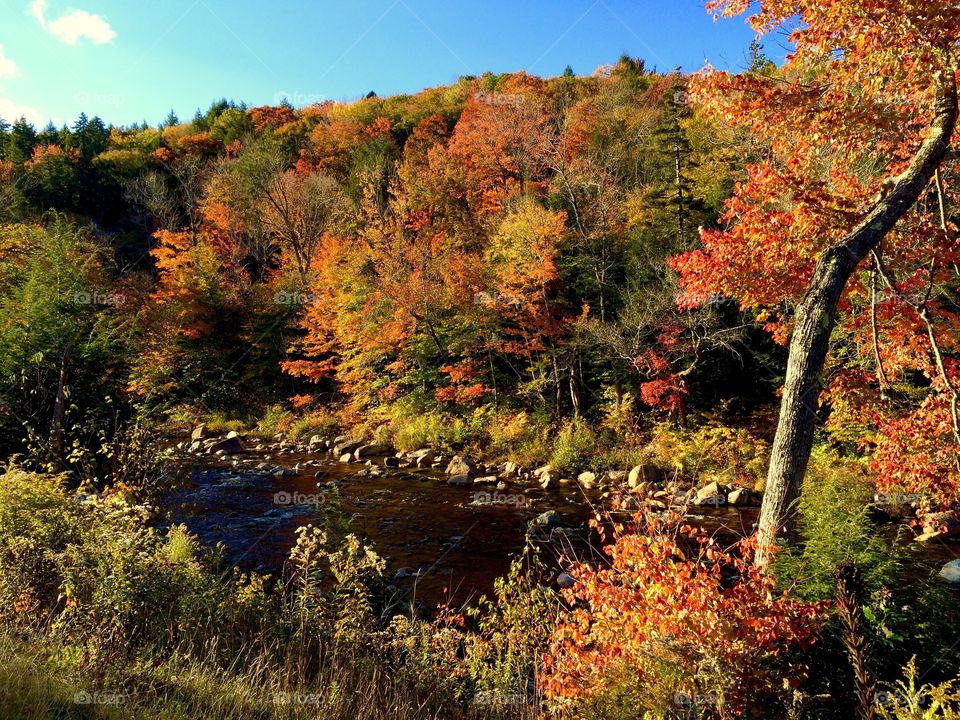 New Hampshire