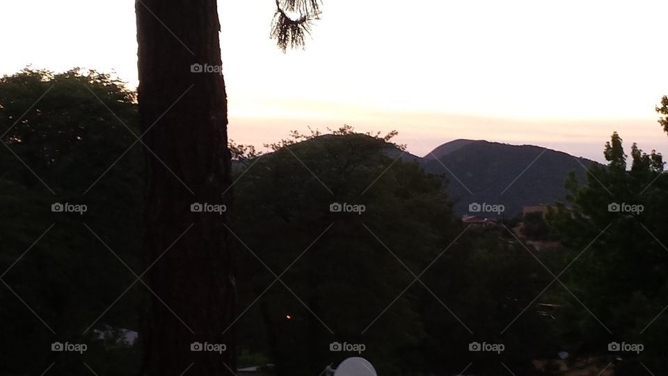 Landscape, Tree, Mountain, Sunset, No Person