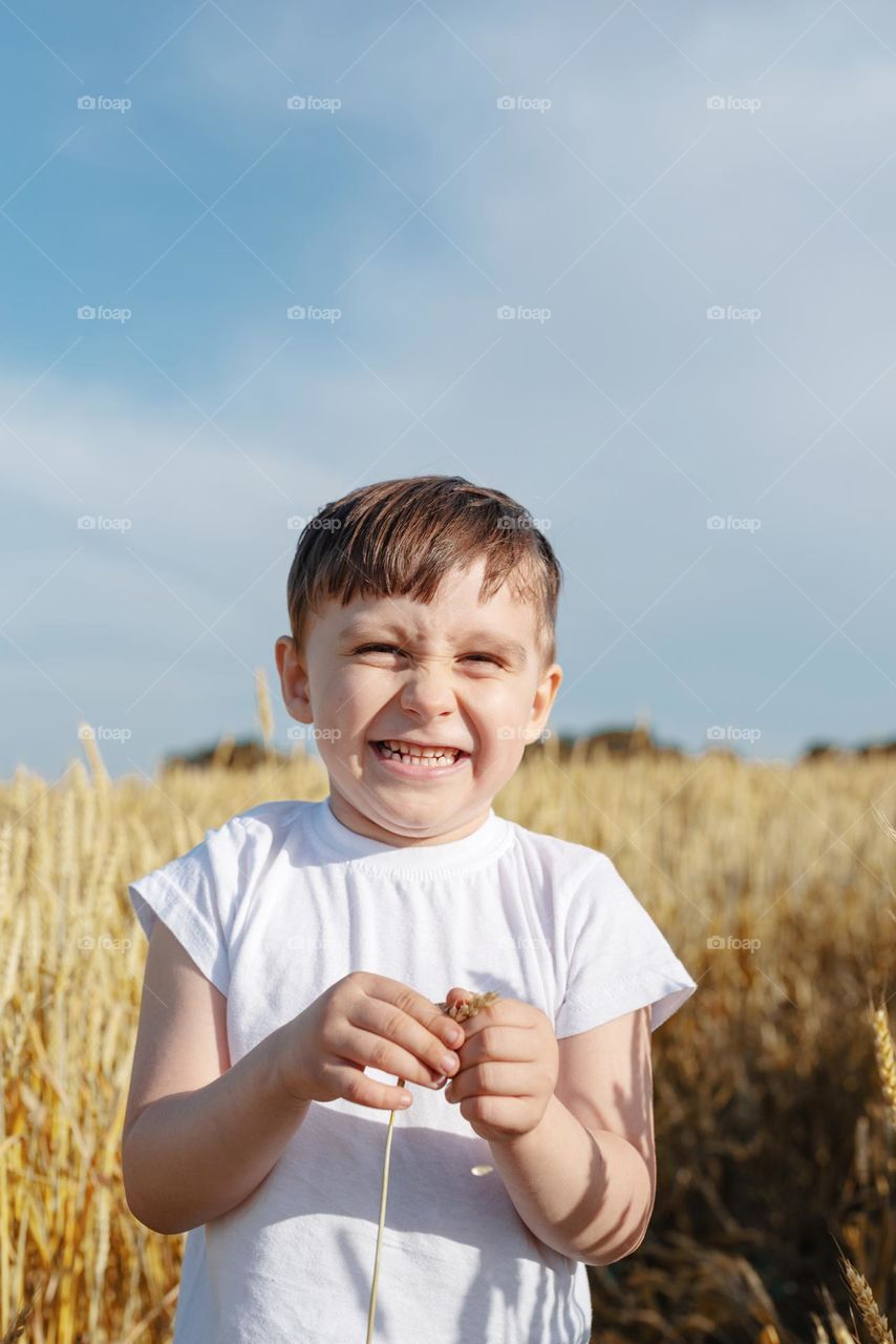 cheerful boy in wheat field