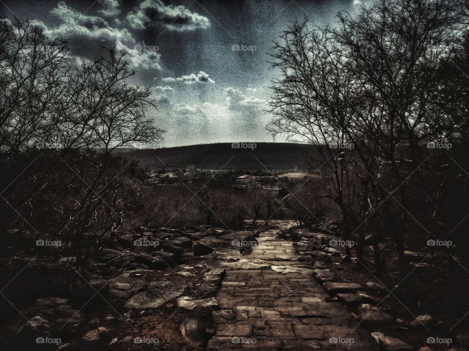 Path Of Distiny  In The Dark Shadow.