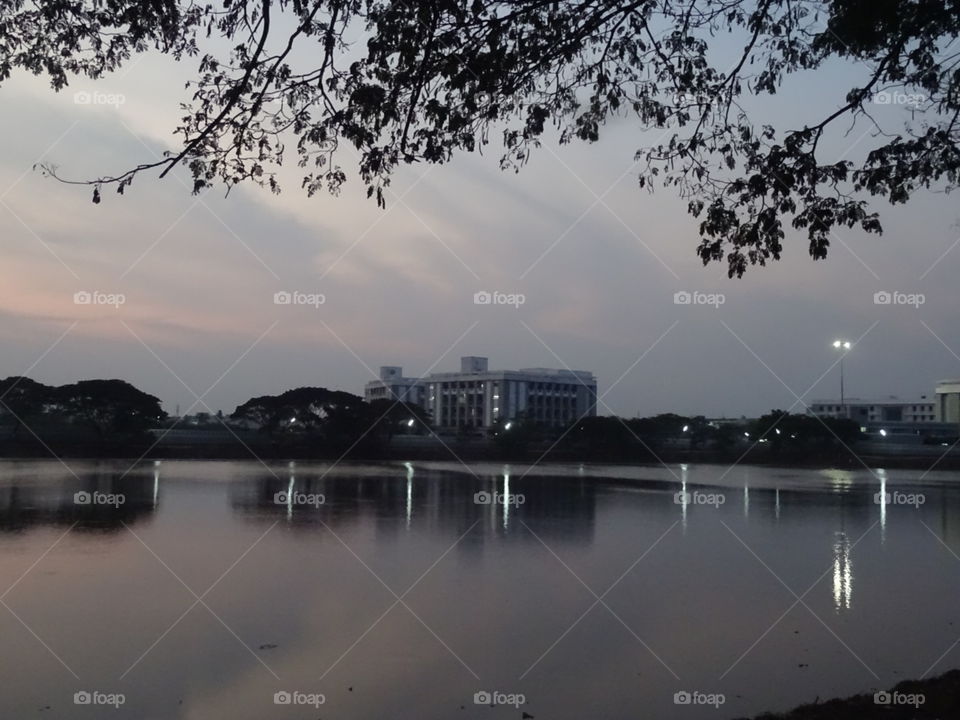 Water, Tree, Reflection, Lake, River