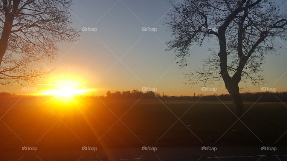 Dawn, Sunset, Sun, Landscape, Tree