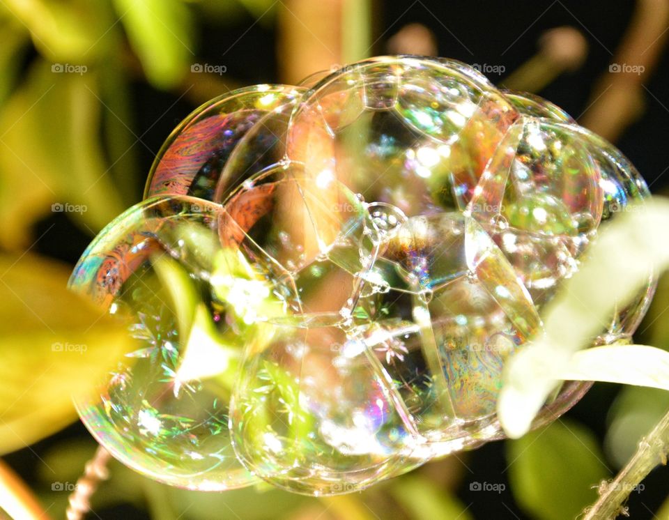 Bubbles
