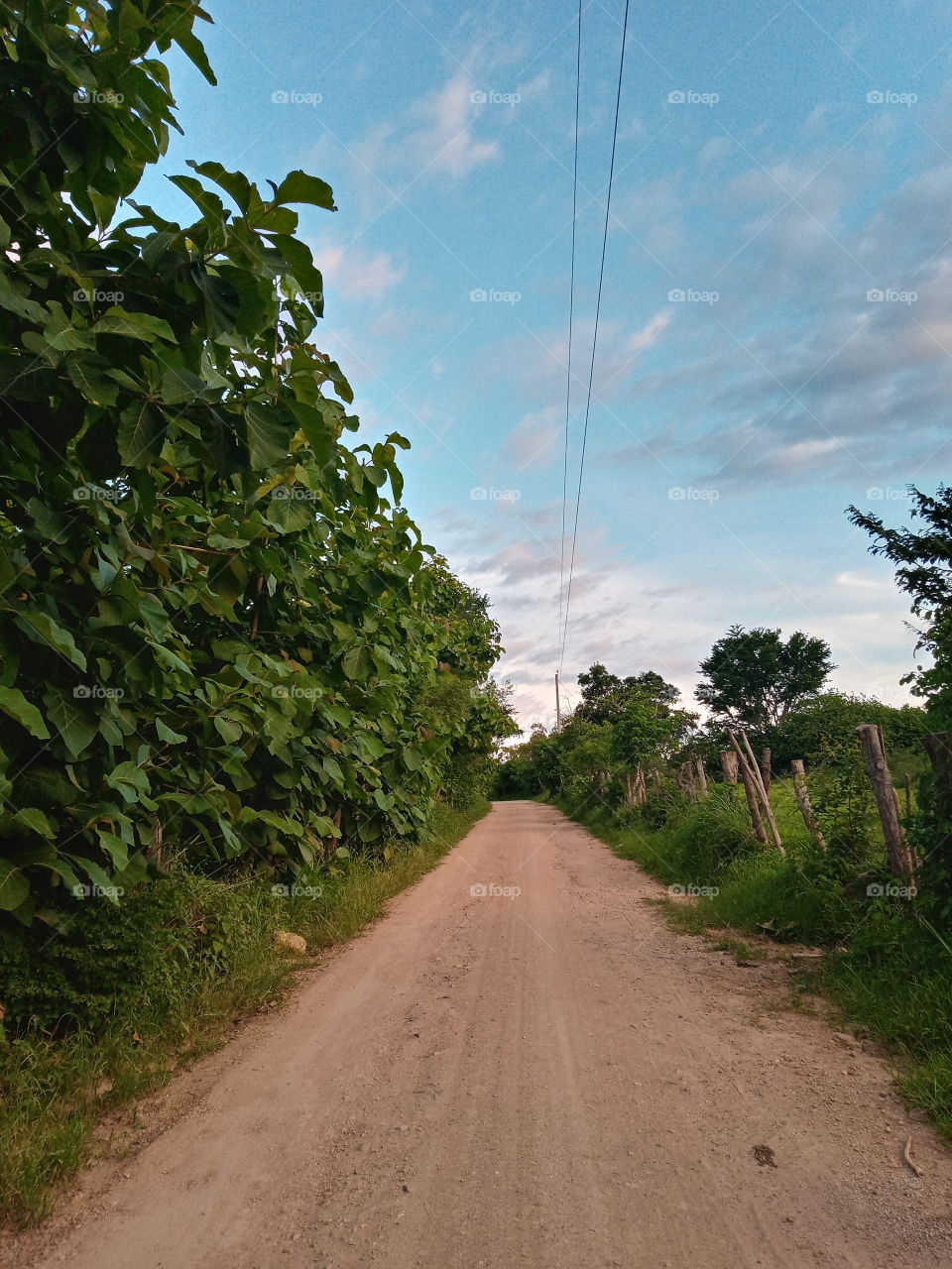 Caminos rurales El Salvador