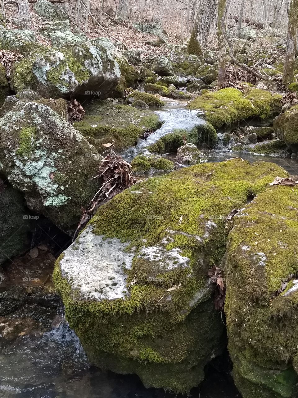 mossy rocks on a hiking trail in Missouri