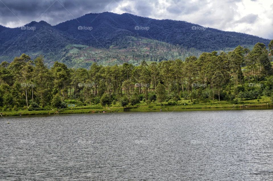 morning view in the lake