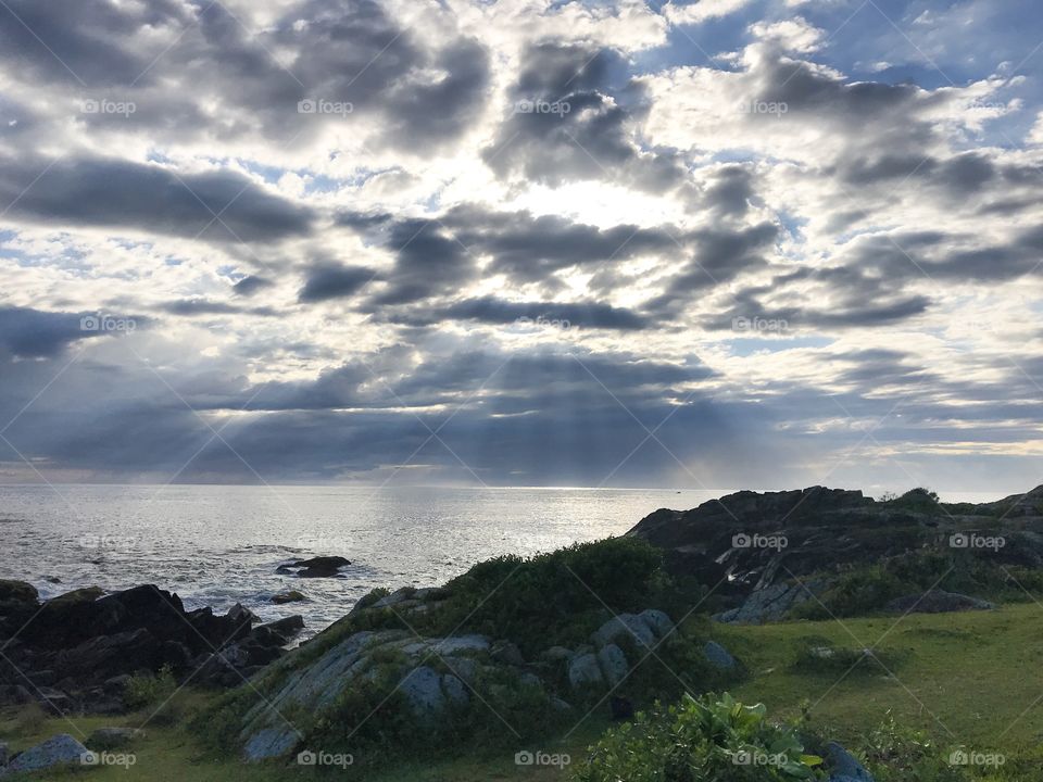 Sun rays on the sea