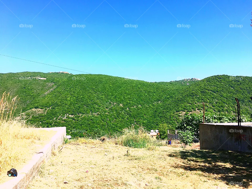 scenics nature