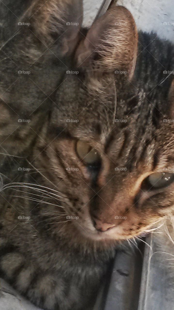 Beautiful encounter in Barcelona, Spain.