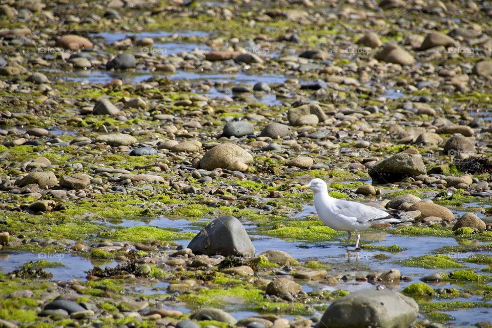 view of the beach in brittany