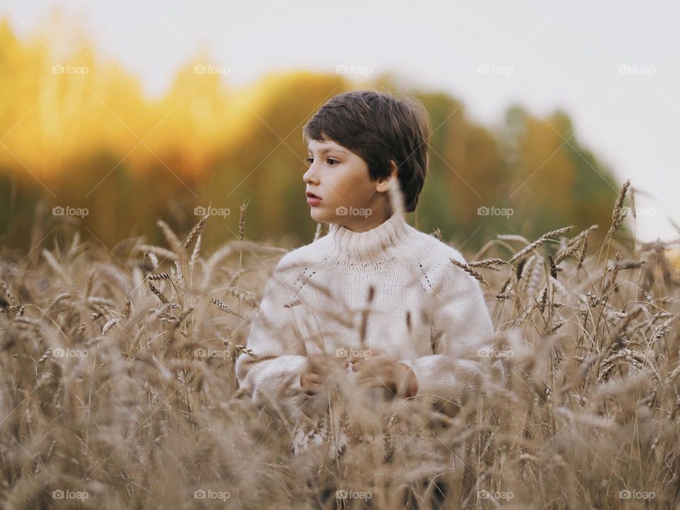 Cute little boy with dark hair wearing white knitted sweater standing in a field of wheat in autumn day, looking in to the distance, portrait of child 