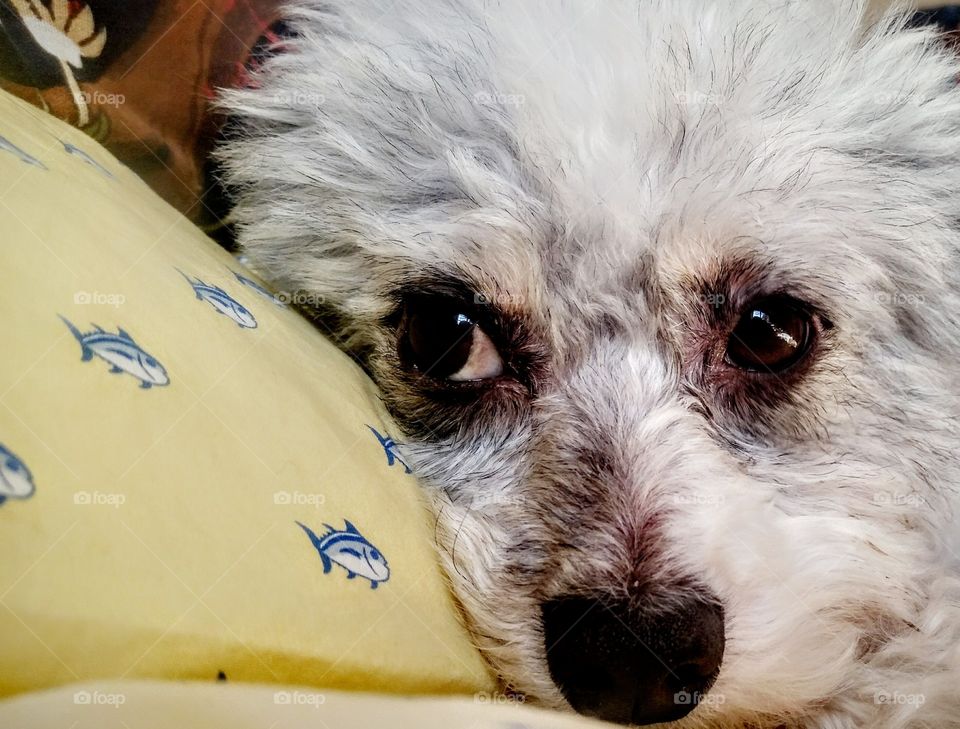 but certainly not shy!