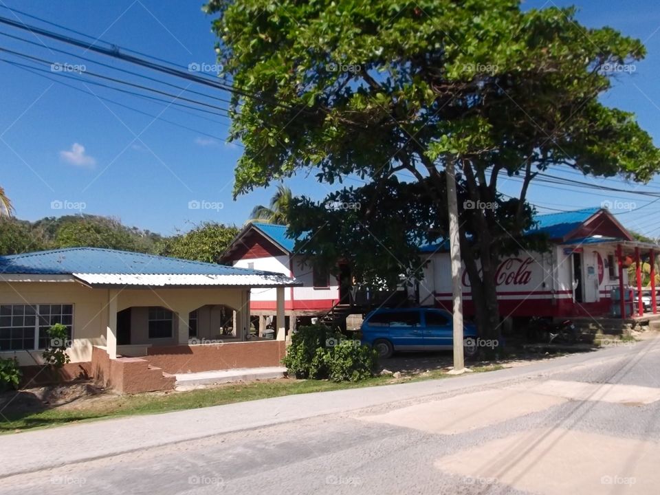 Picture from moving car traveling in Roatan Honduras  