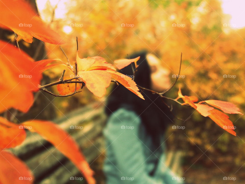 autumn girl