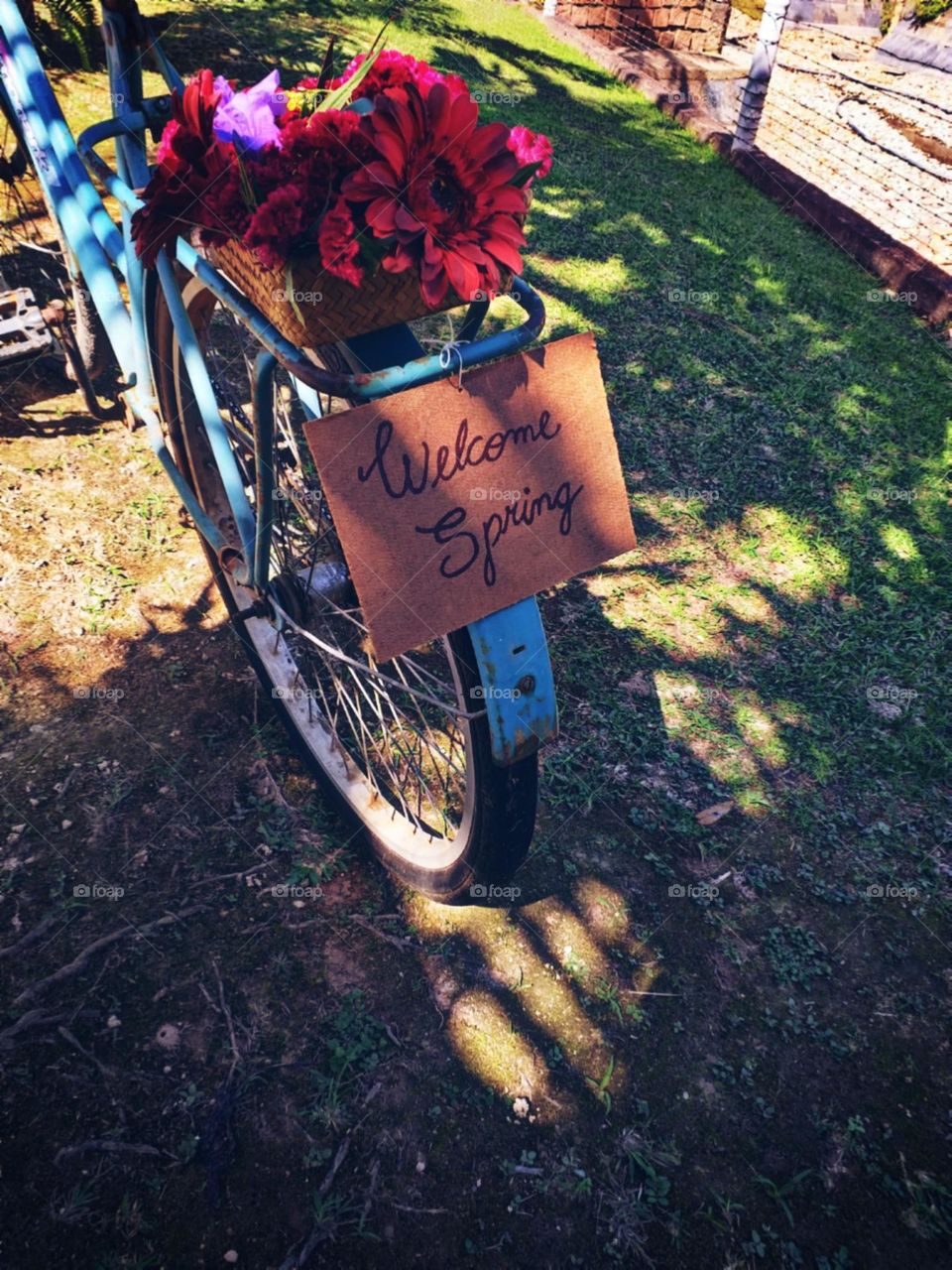 Boas vindas a primavera