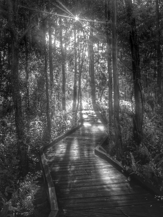 trail