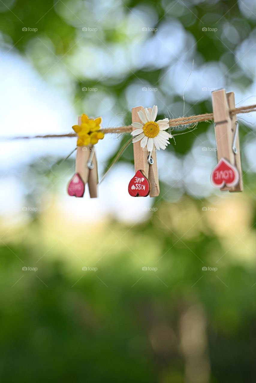 clothespin hanging spring flowers on the rope