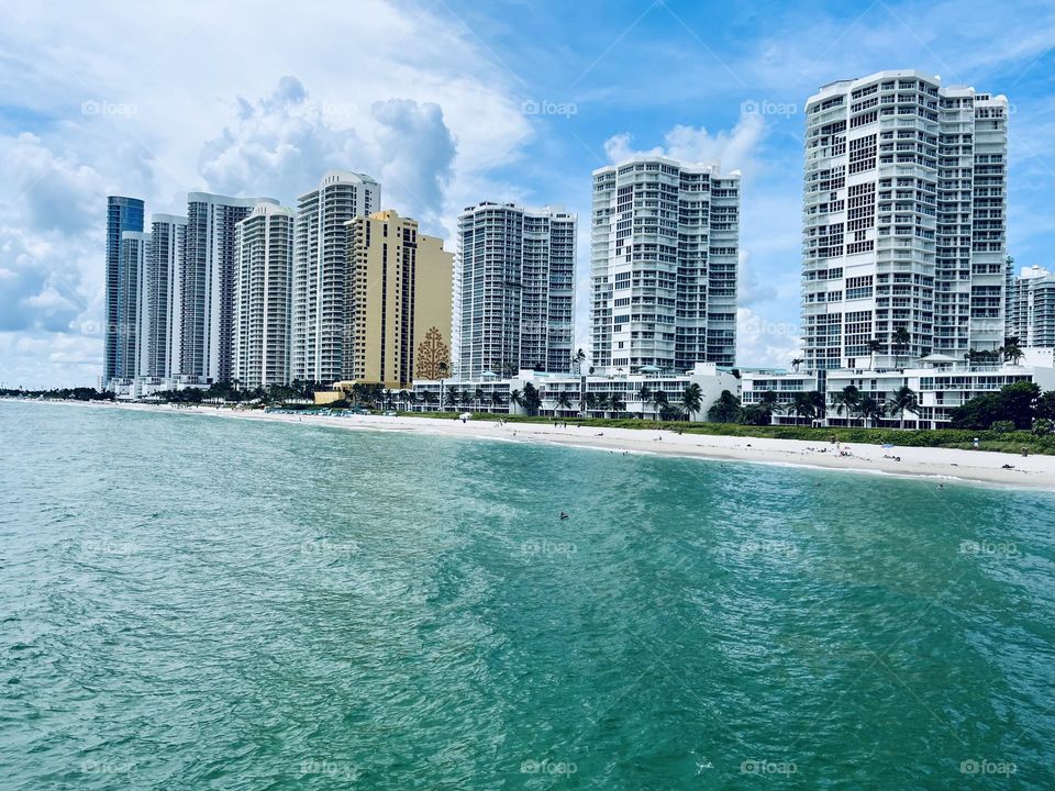 Paradise Reflections 