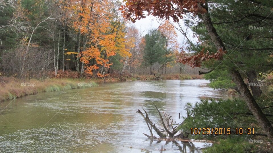 Northern Michigan 