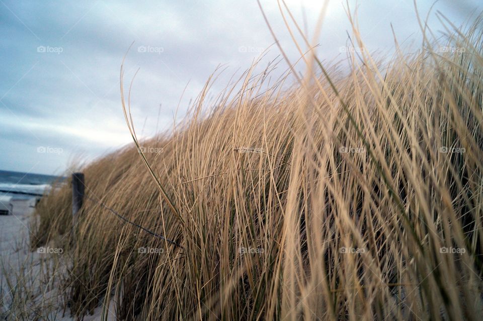 dunes at the baltic sea . i walk on the Beach and shoot this Picture