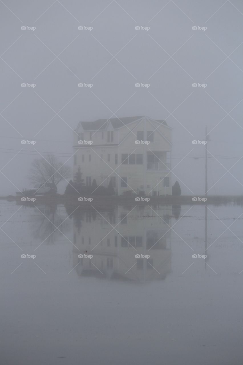 King Tide Reflections
