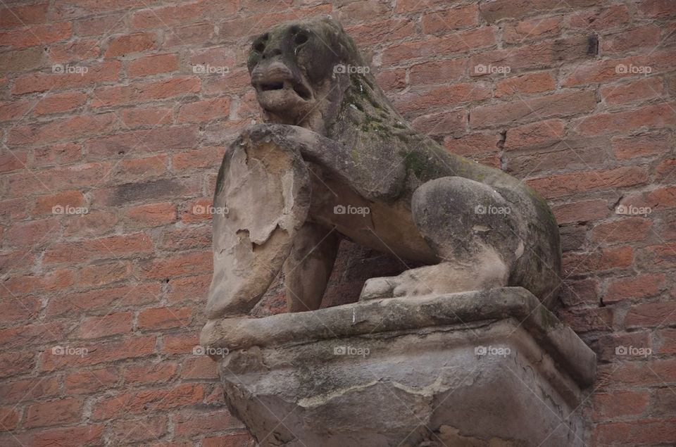 Lion sculpture in Bologna, Emilia Romagna, Italy