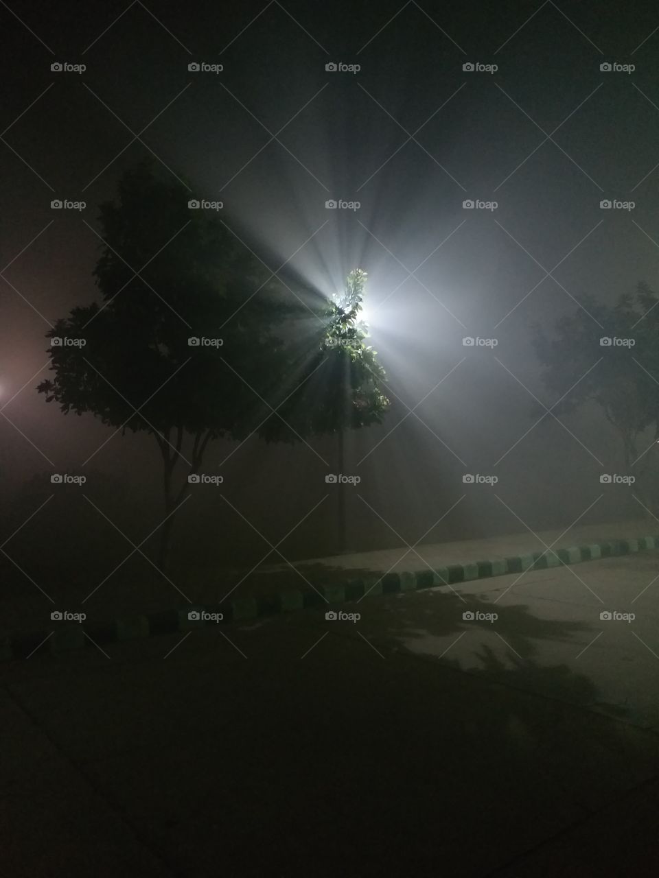 DURING FOGGY NIGHTS ........ A CLEAR VISIBLE VIEW OF FOG FROM THE LIGHT RAYS.......