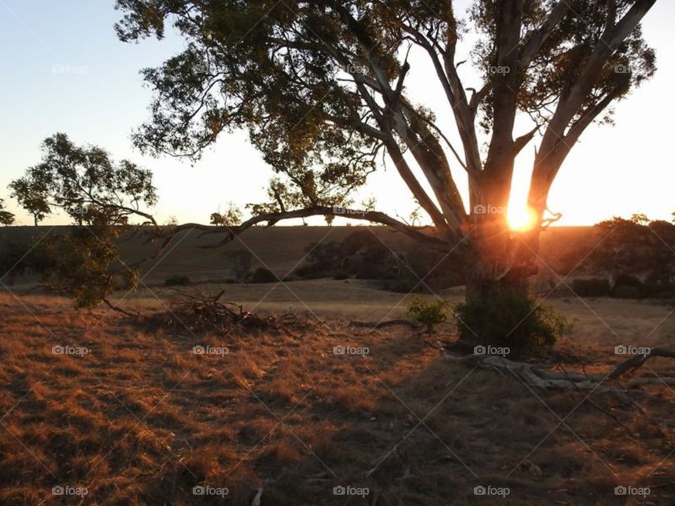 Victoria Australia Sunset