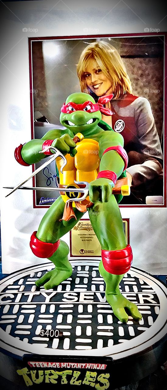 I have to take a picture of my favorite Ninja Turtle Raphael!