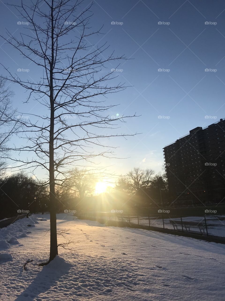 A winter evening at Watsessing Park 