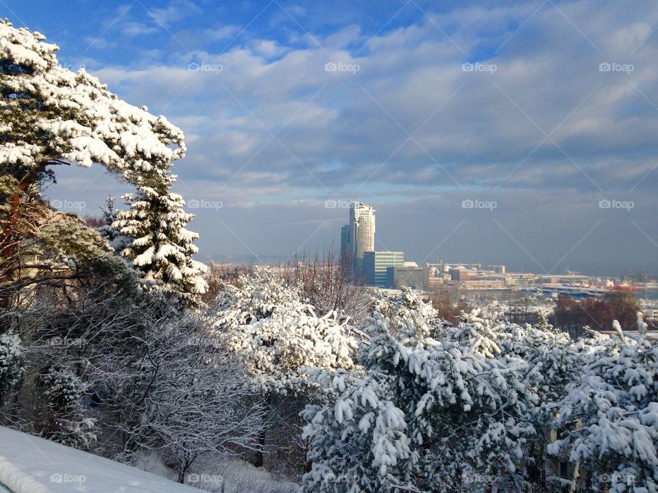 Winter from above 