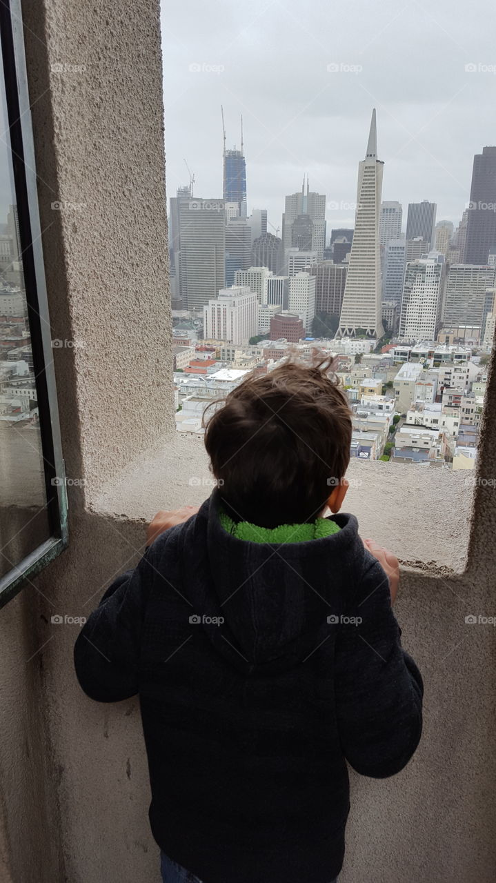 coit tower view