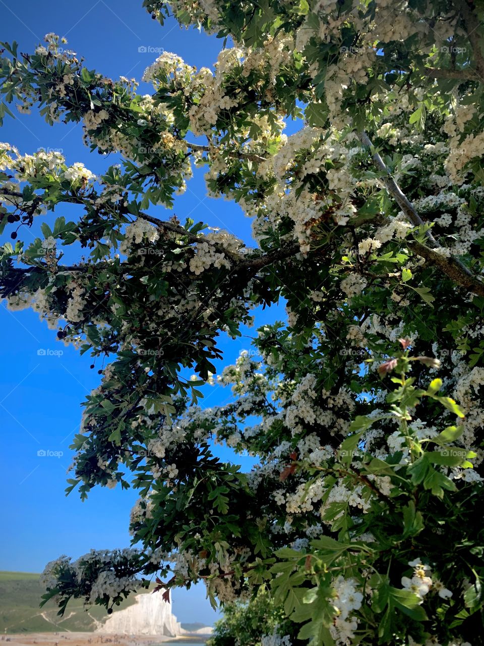 Beaty of nature around us 