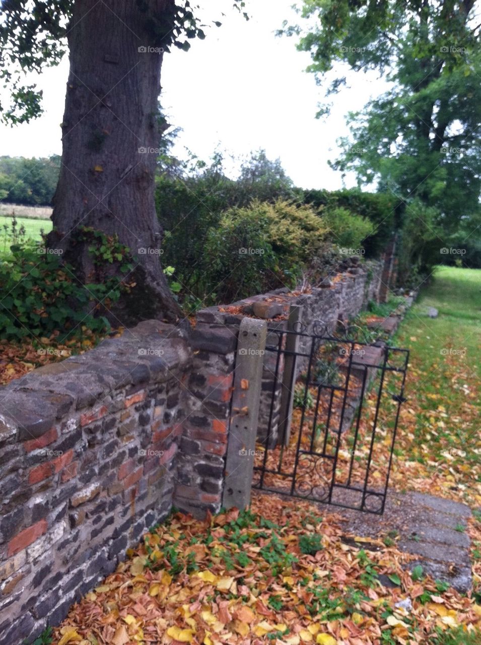 Gate in the fall