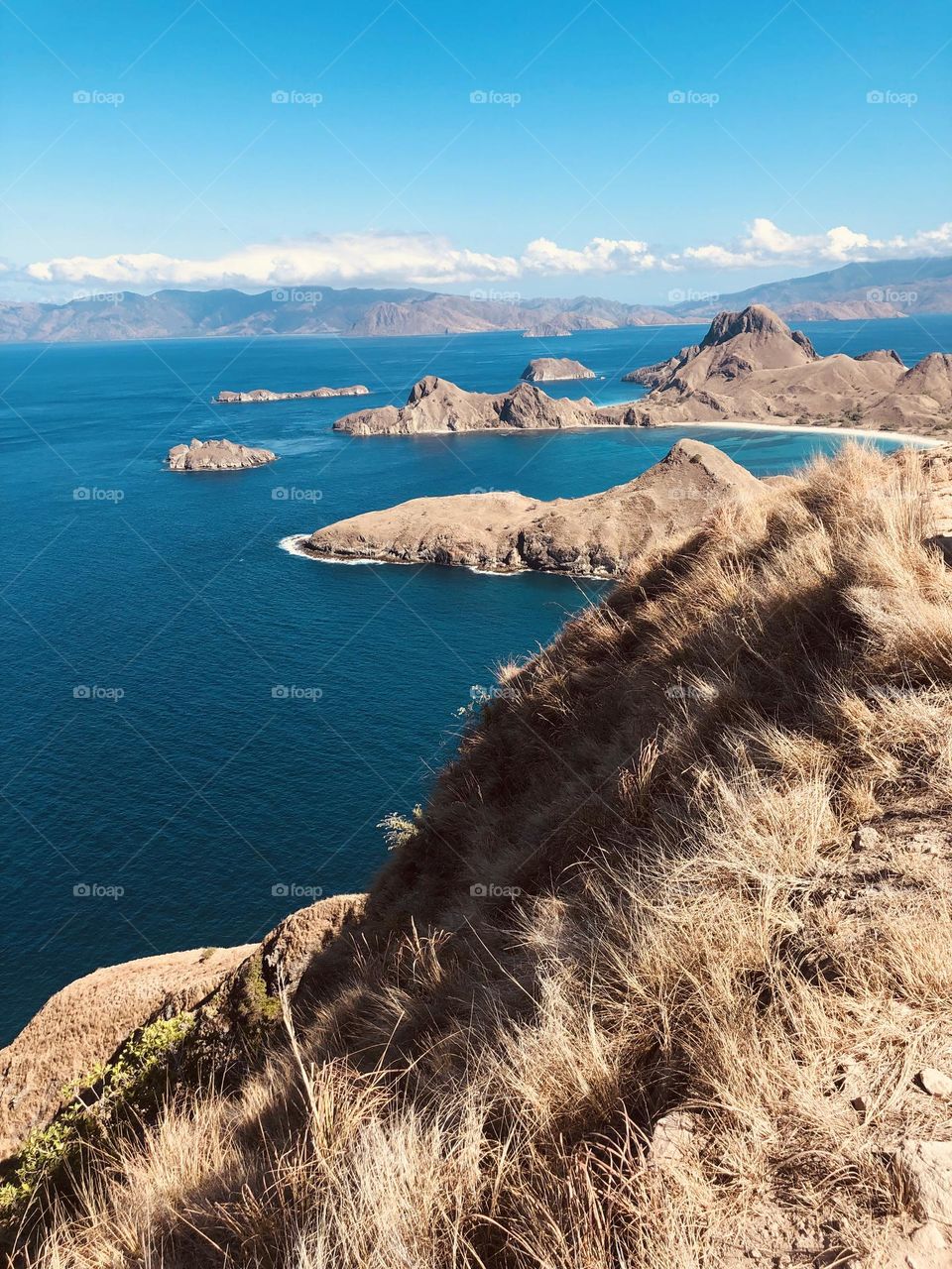 komodo island at Labuan bajo