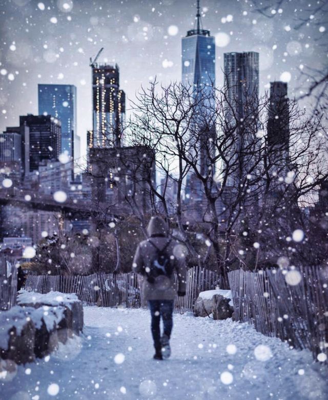 Snow Brooklyn 