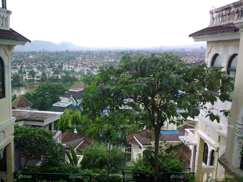 Overlooking the houses